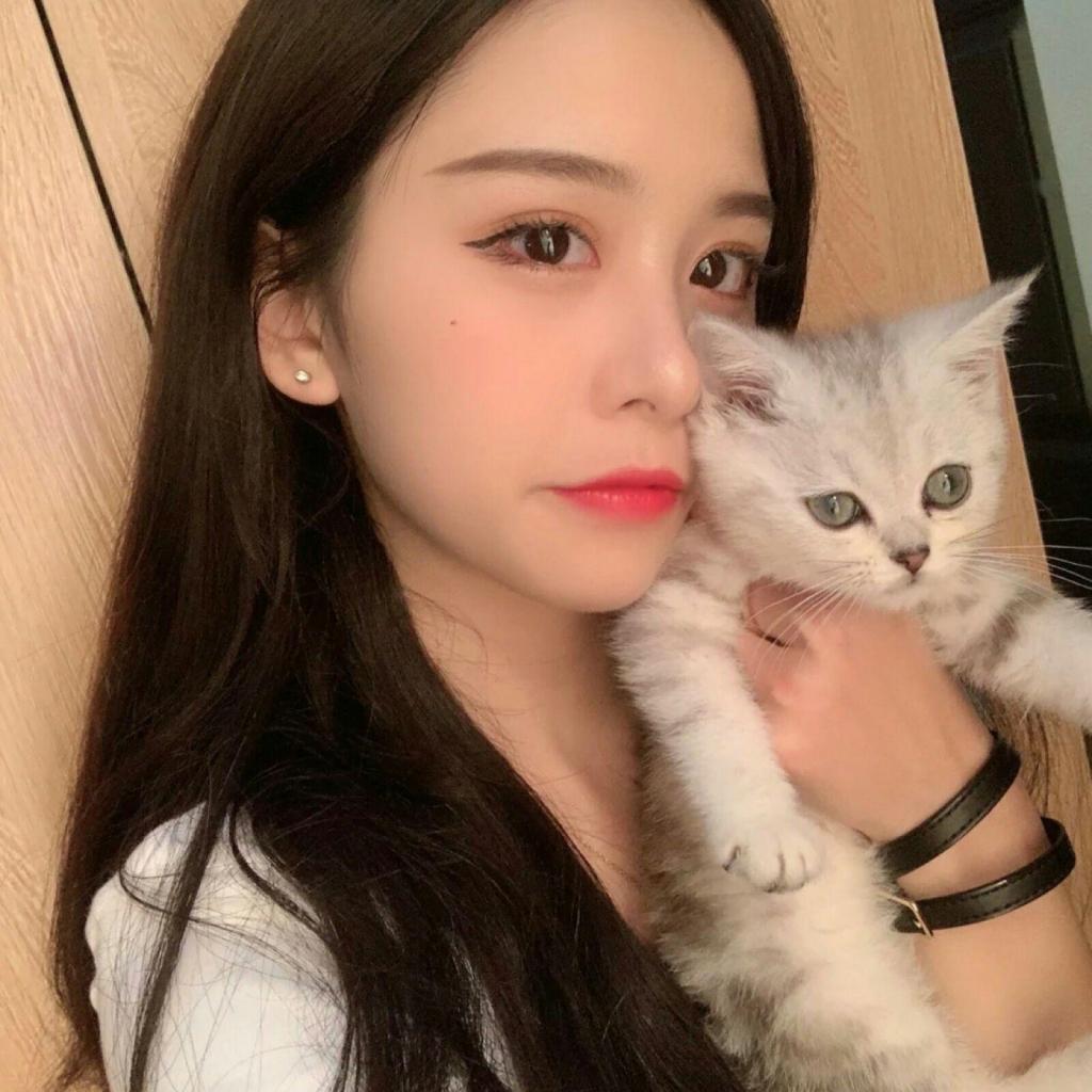 乐鱼app官网下载官方版